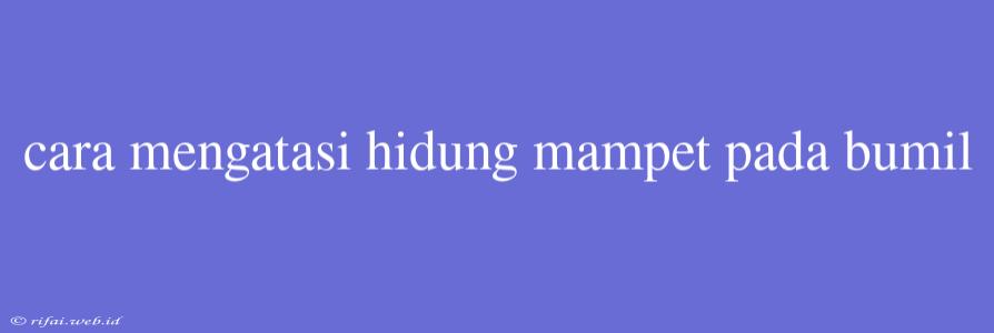 Cara Mengatasi Hidung Mampet Pada Bumil