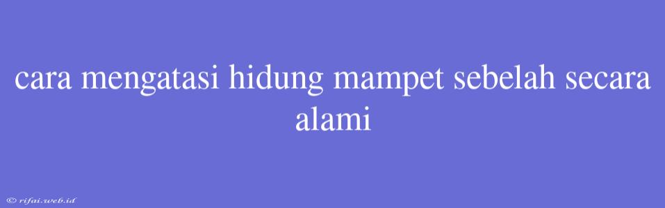 Cara Mengatasi Hidung Mampet Sebelah Secara Alami