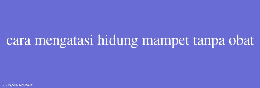 Cara Mengatasi Hidung Mampet Tanpa Obat