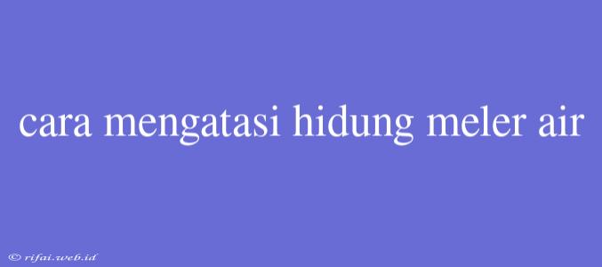 Cara Mengatasi Hidung Meler Air