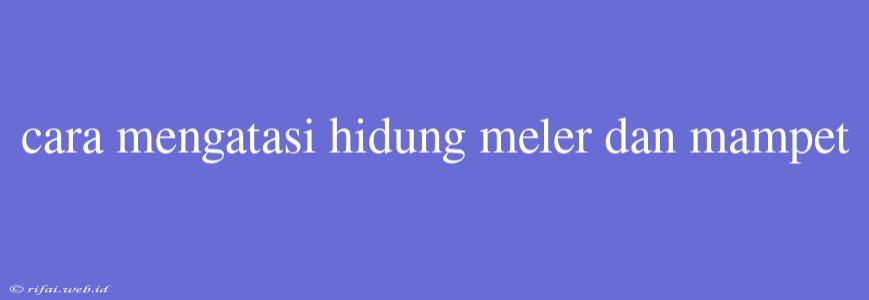 Cara Mengatasi Hidung Meler Dan Mampet