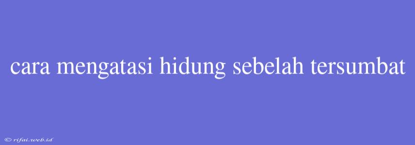 Cara Mengatasi Hidung Sebelah Tersumbat