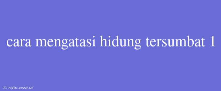 Cara Mengatasi Hidung Tersumbat 1