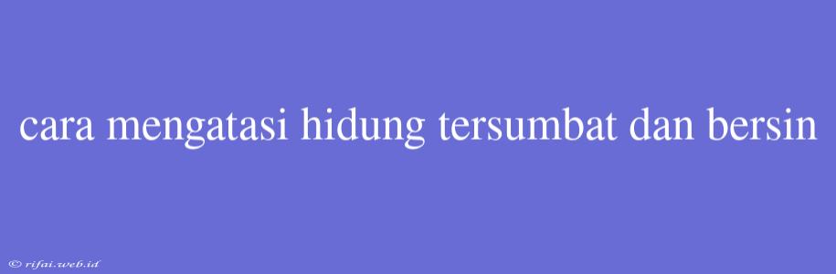 Cara Mengatasi Hidung Tersumbat Dan Bersin