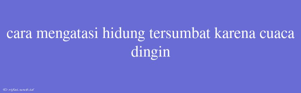 Cara Mengatasi Hidung Tersumbat Karena Cuaca Dingin