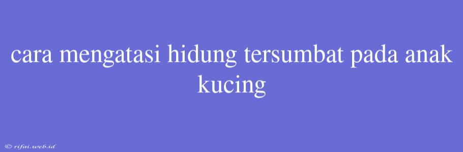 Cara Mengatasi Hidung Tersumbat Pada Anak Kucing