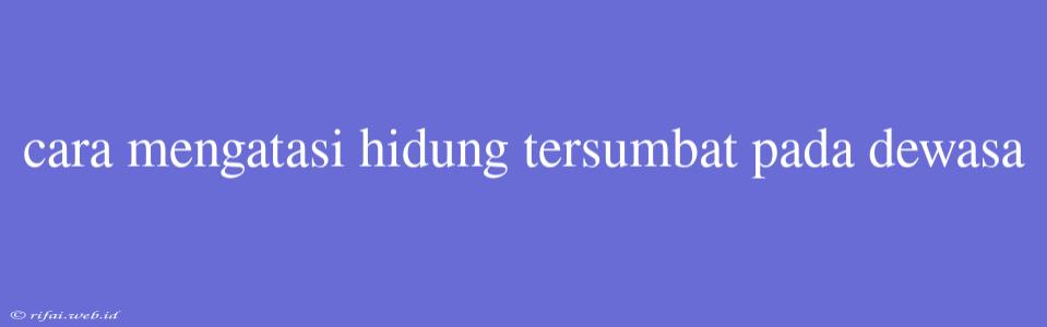 Cara Mengatasi Hidung Tersumbat Pada Dewasa