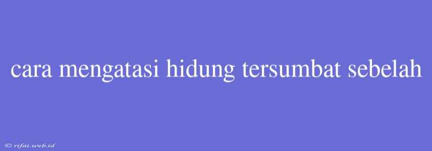 Cara Mengatasi Hidung Tersumbat Sebelah