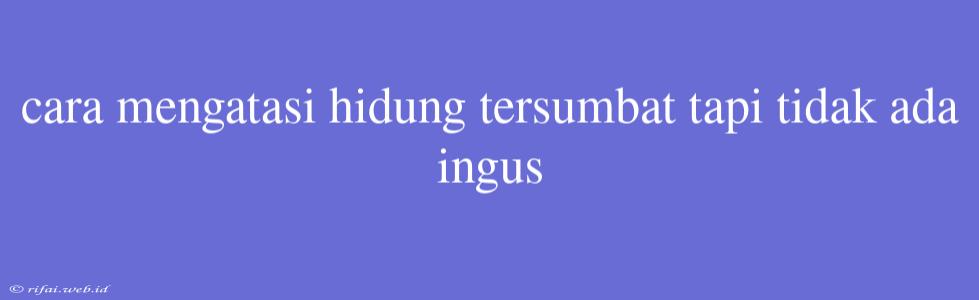 Cara Mengatasi Hidung Tersumbat Tapi Tidak Ada Ingus