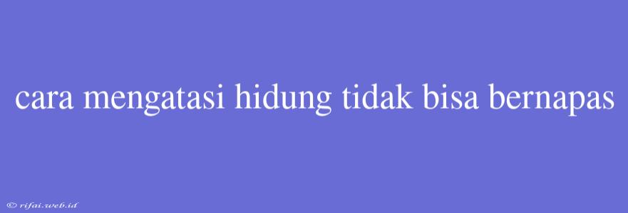 Cara Mengatasi Hidung Tidak Bisa Bernapas