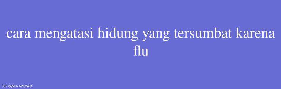 Cara Mengatasi Hidung Yang Tersumbat Karena Flu