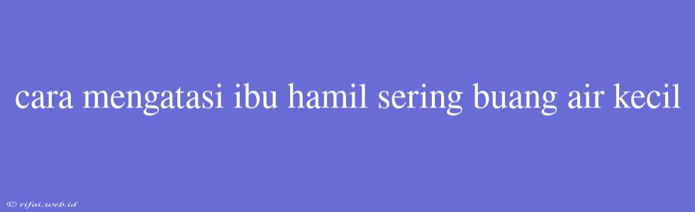 Cara Mengatasi Ibu Hamil Sering Buang Air Kecil