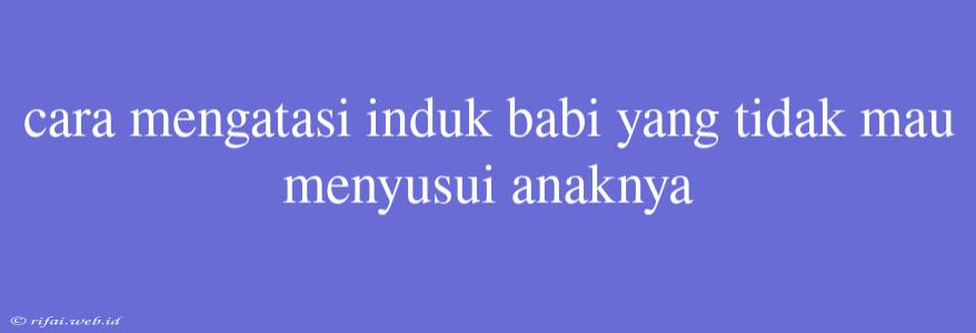 Cara Mengatasi Induk Babi Yang Tidak Mau Menyusui Anaknya