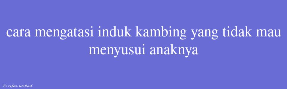 Cara Mengatasi Induk Kambing Yang Tidak Mau Menyusui Anaknya