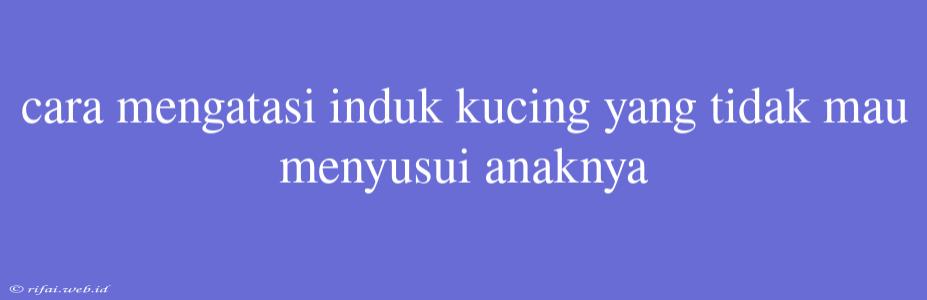 Cara Mengatasi Induk Kucing Yang Tidak Mau Menyusui Anaknya