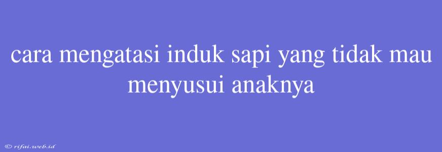 Cara Mengatasi Induk Sapi Yang Tidak Mau Menyusui Anaknya