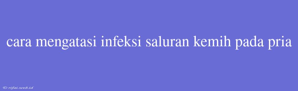 Cara Mengatasi Infeksi Saluran Kemih Pada Pria