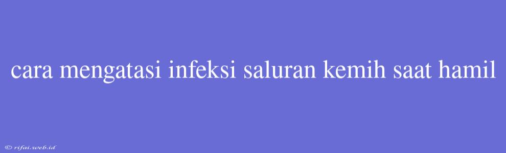 Cara Mengatasi Infeksi Saluran Kemih Saat Hamil