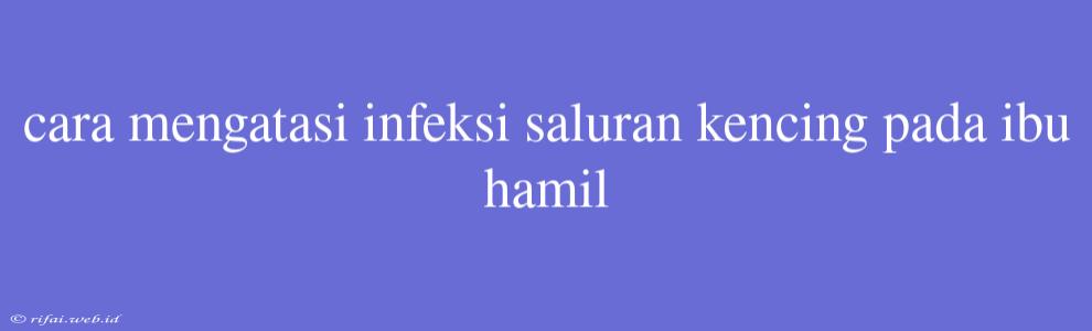 Cara Mengatasi Infeksi Saluran Kencing Pada Ibu Hamil