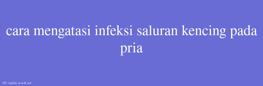 Cara Mengatasi Infeksi Saluran Kencing Pada Pria