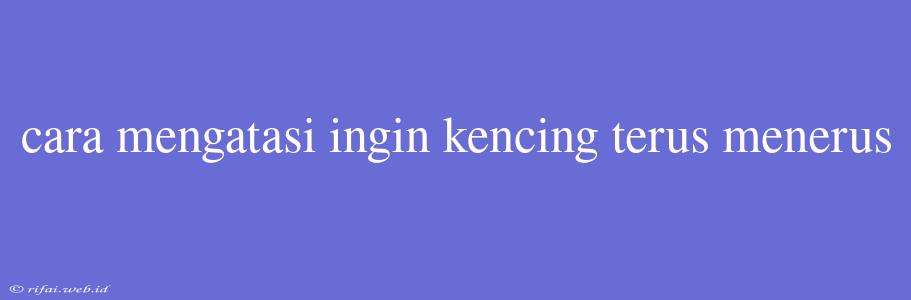 Cara Mengatasi Ingin Kencing Terus Menerus