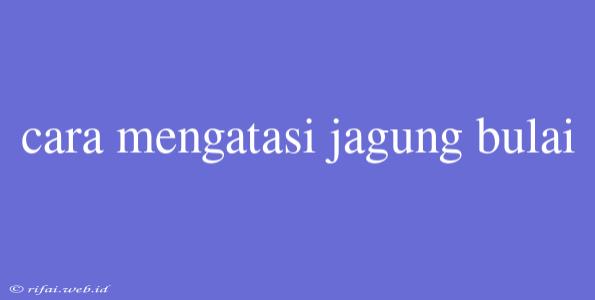 Cara Mengatasi Jagung Bulai