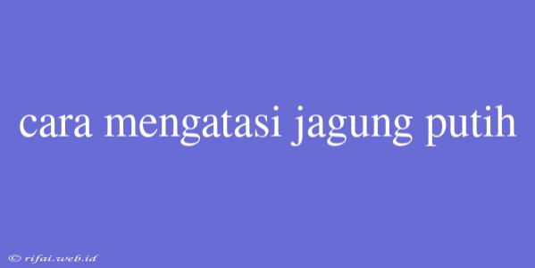 Cara Mengatasi Jagung Putih