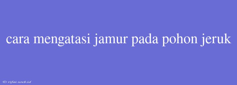 Cara Mengatasi Jamur Pada Pohon Jeruk