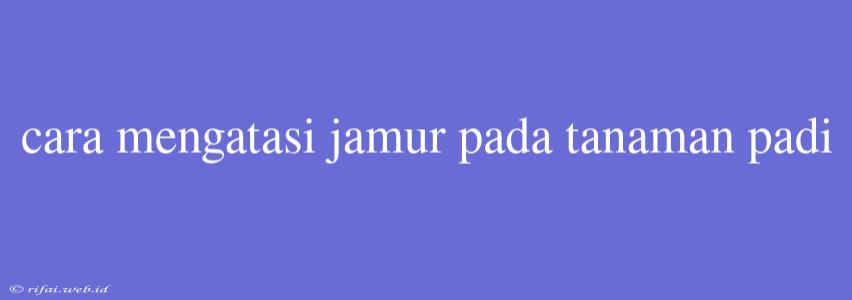 Cara Mengatasi Jamur Pada Tanaman Padi