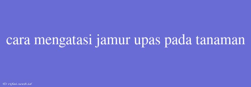 Cara Mengatasi Jamur Upas Pada Tanaman