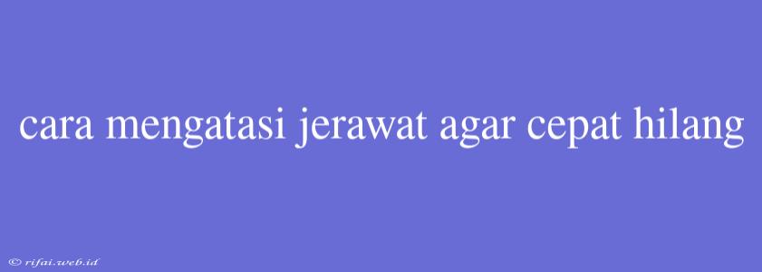 Cara Mengatasi Jerawat Agar Cepat Hilang