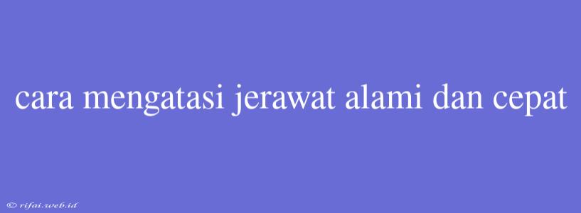 Cara Mengatasi Jerawat Alami Dan Cepat