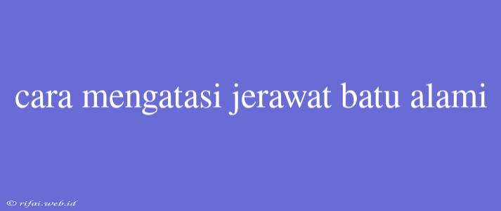 Cara Mengatasi Jerawat Batu Alami