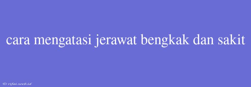 Cara Mengatasi Jerawat Bengkak Dan Sakit