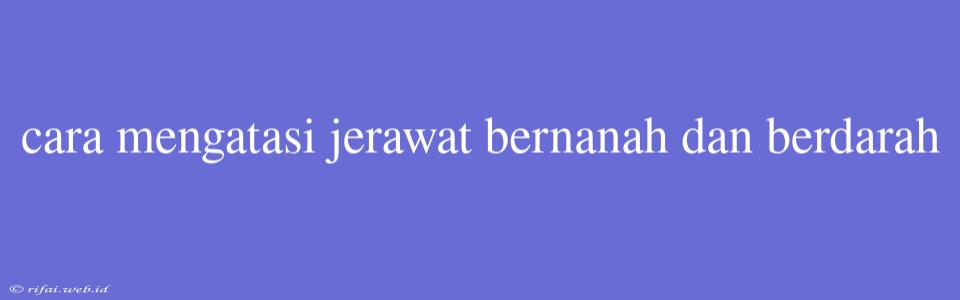 Cara Mengatasi Jerawat Bernanah Dan Berdarah