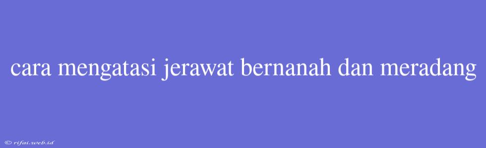 Cara Mengatasi Jerawat Bernanah Dan Meradang