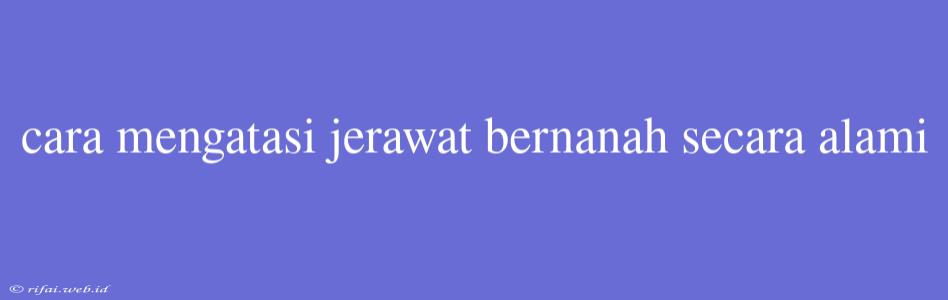 Cara Mengatasi Jerawat Bernanah Secara Alami