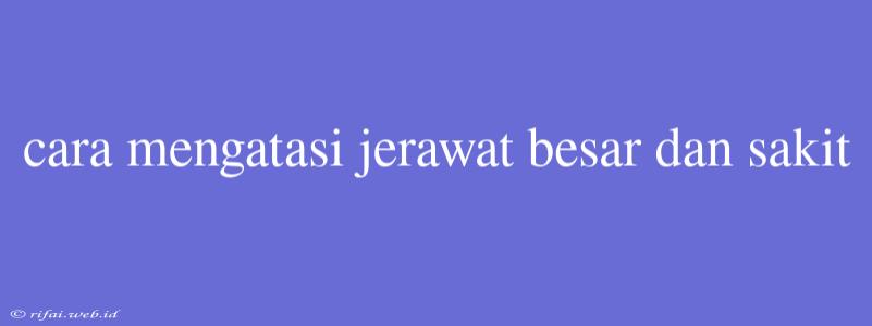 Cara Mengatasi Jerawat Besar Dan Sakit