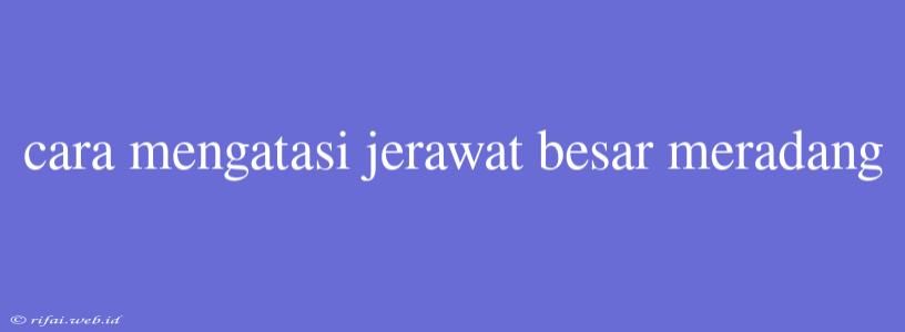 Cara Mengatasi Jerawat Besar Meradang