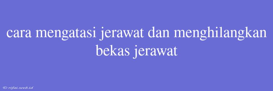 Cara Mengatasi Jerawat Dan Menghilangkan Bekas Jerawat