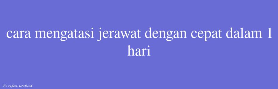 Cara Mengatasi Jerawat Dengan Cepat Dalam 1 Hari