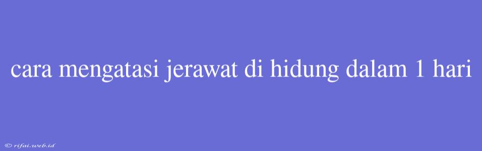 Cara Mengatasi Jerawat Di Hidung Dalam 1 Hari