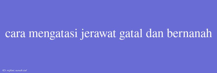 Cara Mengatasi Jerawat Gatal Dan Bernanah