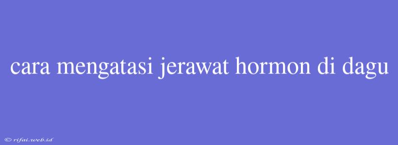 Cara Mengatasi Jerawat Hormon Di Dagu