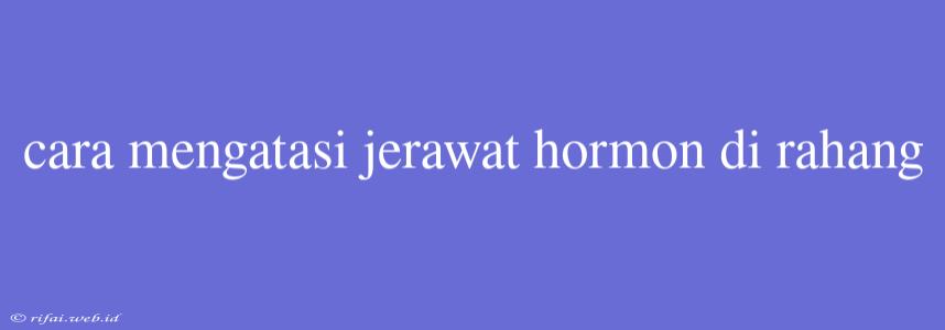 Cara Mengatasi Jerawat Hormon Di Rahang