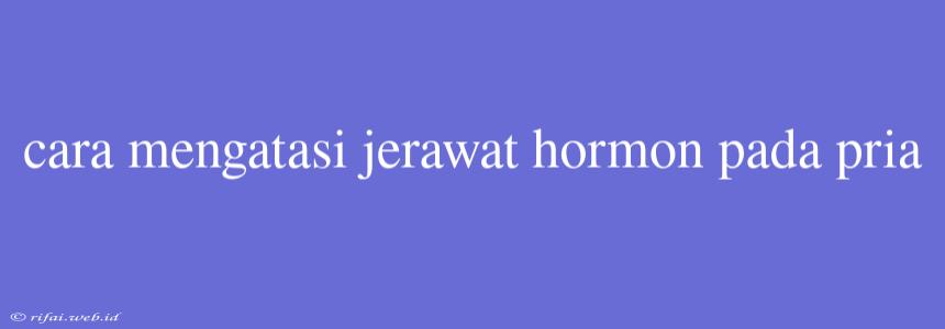 Cara Mengatasi Jerawat Hormon Pada Pria