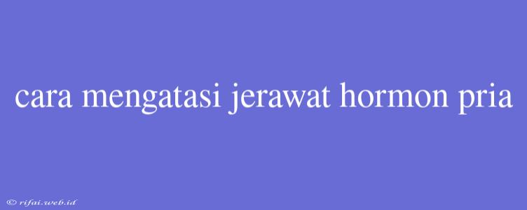 Cara Mengatasi Jerawat Hormon Pria