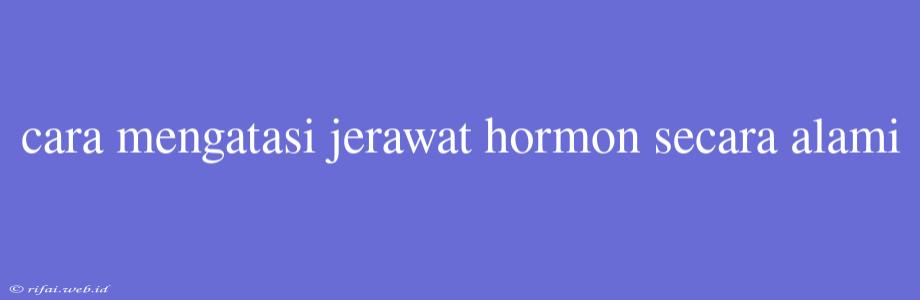 Cara Mengatasi Jerawat Hormon Secara Alami