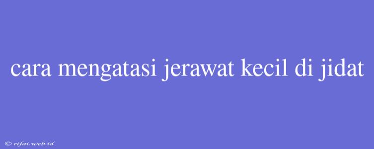 Cara Mengatasi Jerawat Kecil Di Jidat