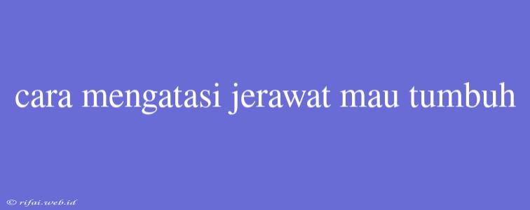 Cara Mengatasi Jerawat Mau Tumbuh